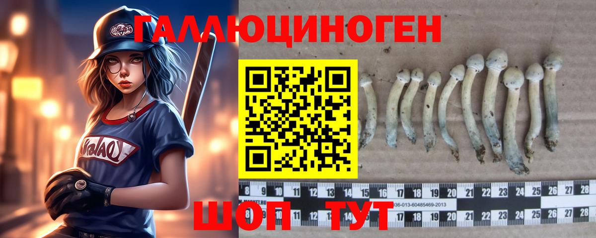 Новотроицк  магазин  наркотиков  Вход с VPN  Галлюциногенные грибы мицелий  Галлюциногенные грибы прущие грибы 
